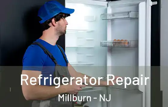  Refrigerator Repair Millburn - NJ