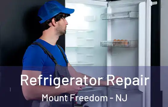  Refrigerator Repair Mount Freedom - NJ