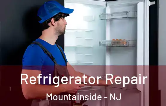  Refrigerator Repair Mountainside - NJ