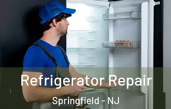  Refrigerator Repair Springfield - NJ