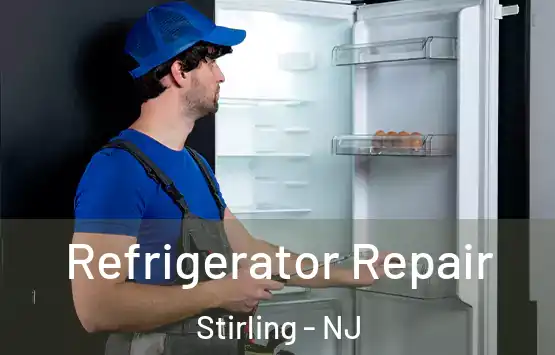  Refrigerator Repair Stirling - NJ