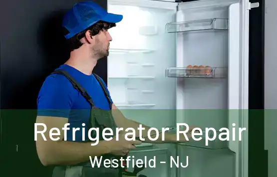  Refrigerator Repair Westfield - NJ