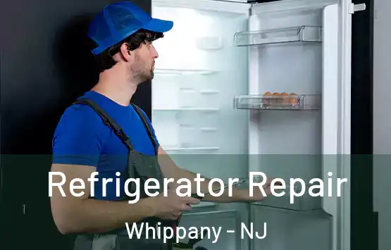  Refrigerator Repair Whippany - NJ