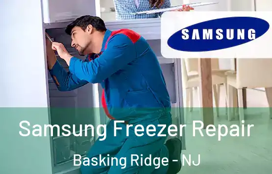  Samsung Freezer Repair Basking Ridge - NJ