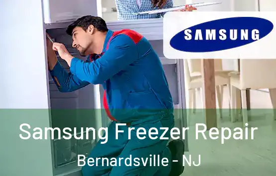  Samsung Freezer Repair Bernardsville - NJ