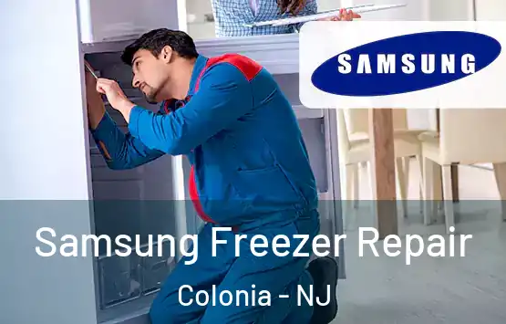  Samsung Freezer Repair Colonia - NJ
