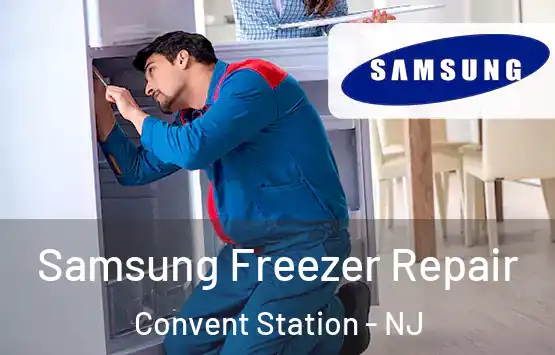  Samsung Freezer Repair Convent Station - NJ