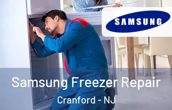  Samsung Freezer Repair Cranford - NJ