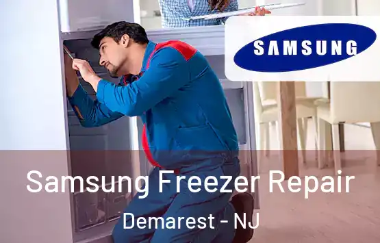  Samsung Freezer Repair Demarest - NJ