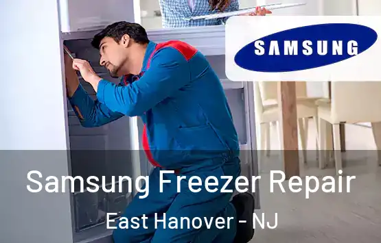  Samsung Freezer Repair East Hanover - NJ