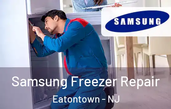  Samsung Freezer Repair Eatontown - NJ