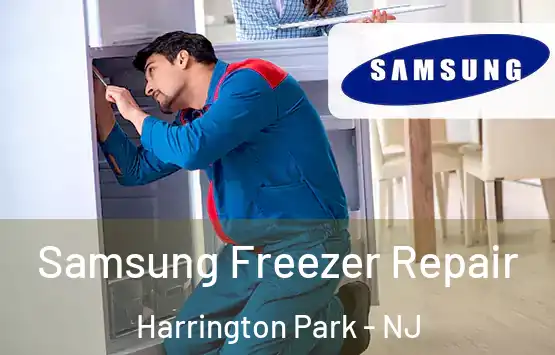  Samsung Freezer Repair Harrington Park - NJ
