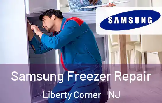 Samsung Freezer Repair Liberty Corner - NJ