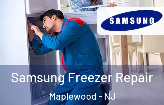  Samsung Freezer Repair Maplewood - NJ