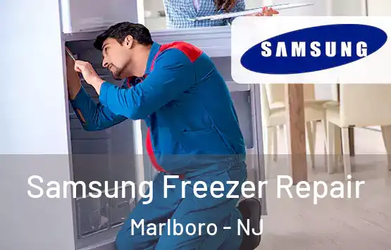  Samsung Freezer Repair Marlboro - NJ