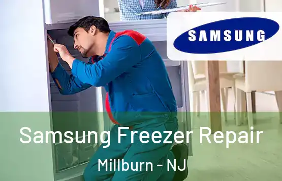  Samsung Freezer Repair Millburn - NJ