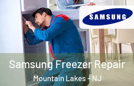  Samsung Freezer Repair Mountain Lakes - NJ