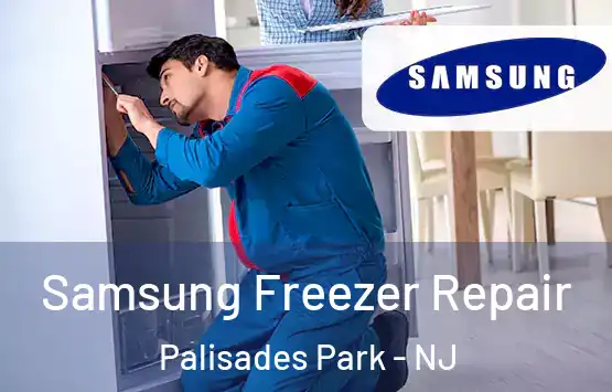  Samsung Freezer Repair Palisades Park - NJ