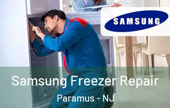  Samsung Freezer Repair Paramus - NJ