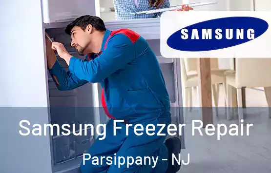  Samsung Freezer Repair Parsippany - NJ