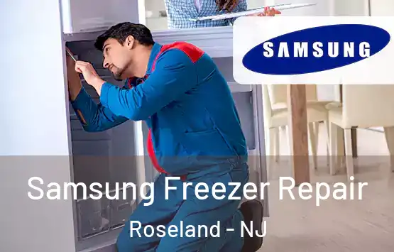  Samsung Freezer Repair Roseland - NJ