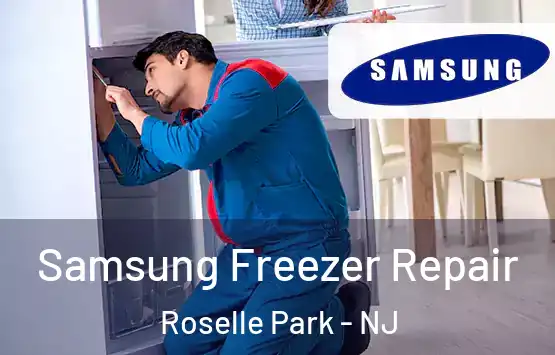  Samsung Freezer Repair Roselle Park - NJ