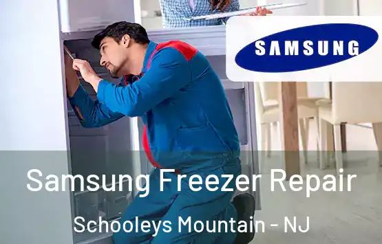  Samsung Freezer Repair Schooleys Mountain - NJ