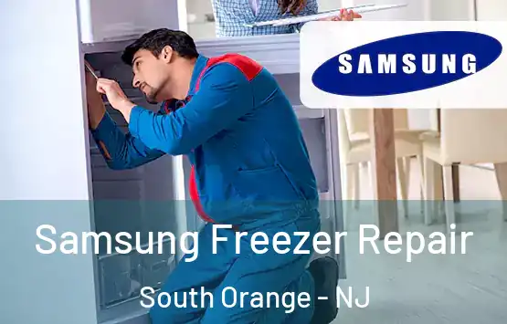  Samsung Freezer Repair South Orange - NJ