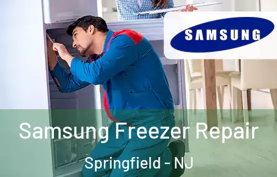  Samsung Freezer Repair Springfield - NJ