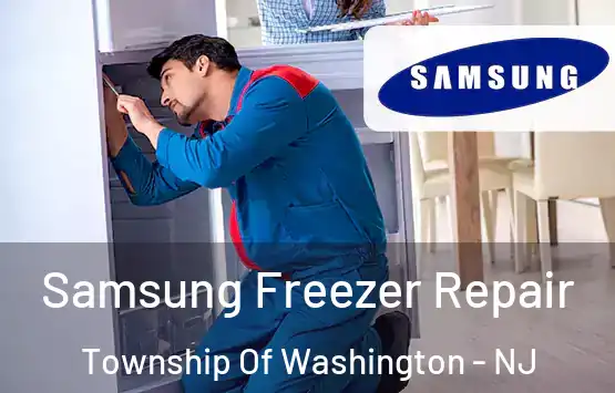  Samsung Freezer Repair Township Of Washington - NJ
