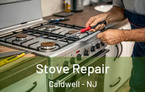  Stove Repair Caldwell - NJ