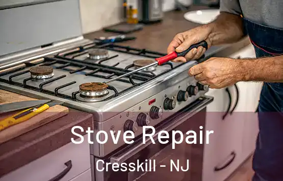  Stove Repair Cresskill - NJ