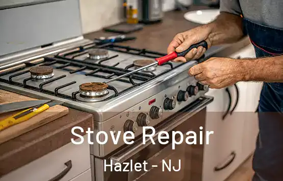  Stove Repair Hazlet - NJ