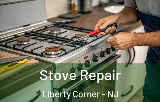  Stove Repair Liberty Corner - NJ