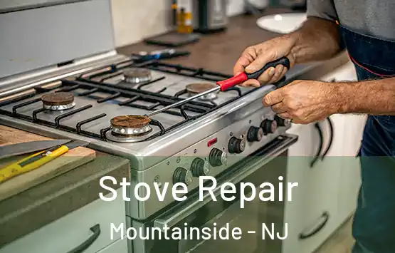  Stove Repair Mountainside - NJ