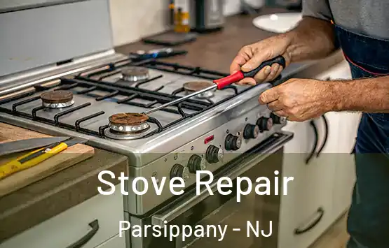  Stove Repair Parsippany - NJ