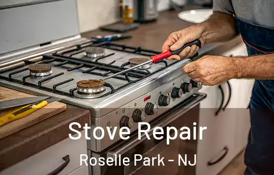  Stove Repair Roselle Park - NJ