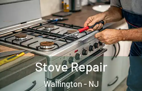  Stove Repair Wallington - NJ