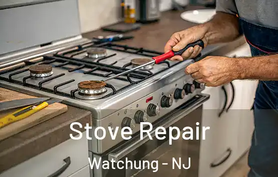  Stove Repair Watchung - NJ