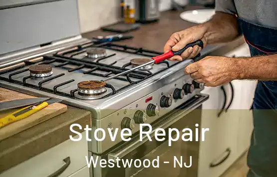  Stove Repair Westwood - NJ
