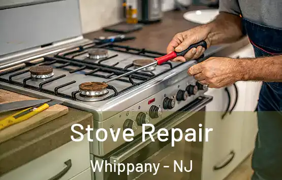  Stove Repair Whippany - NJ