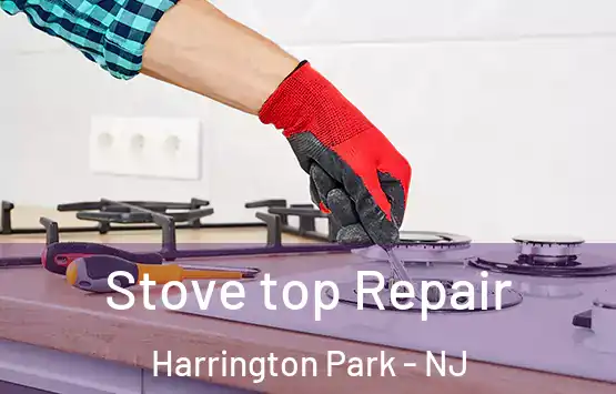  Stove top Repair Harrington Park - NJ