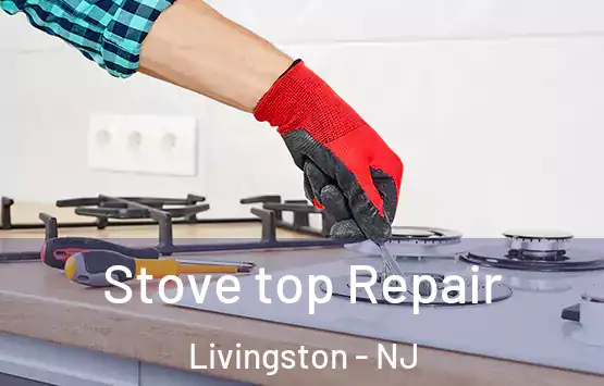  Stove top Repair Livingston - NJ