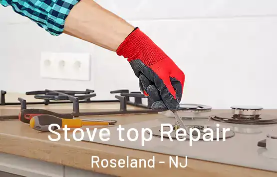  Stove top Repair Roseland - NJ