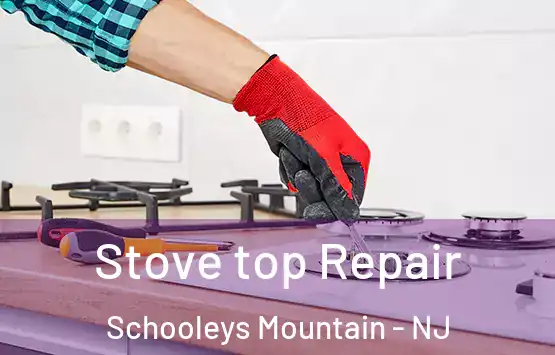  Stove top Repair Schooleys Mountain - NJ