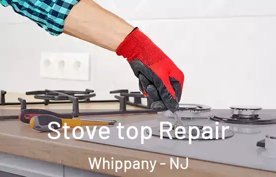  Stove top Repair Whippany - NJ