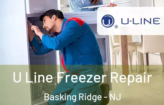  U Line Freezer Repair Basking Ridge - NJ