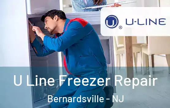  U Line Freezer Repair Bernardsville - NJ