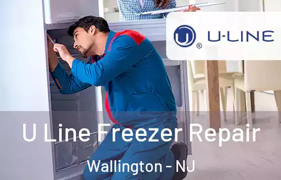  U Line Freezer Repair Wallington - NJ