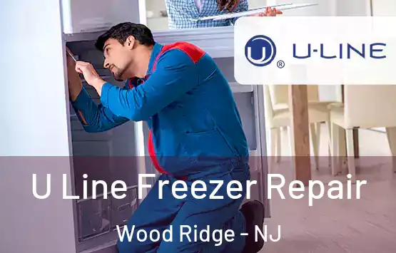  U Line Freezer Repair Wood Ridge - NJ